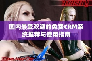 国内最受欢迎的免费CRM系统推荐与使用指南