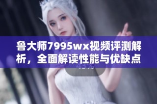 鲁大师7995wx视频评测解析，全面解读性能与优缺点