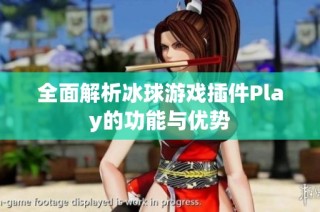 全面解析冰球游戏插件Play的功能与优势