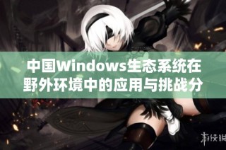 中国Windows生态系统在野外环境中的应用与挑战分析