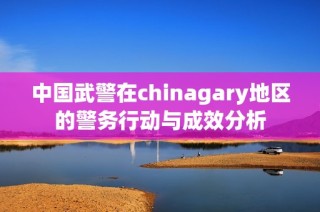 中国武警在chinagary地区的警务行动与成效分析