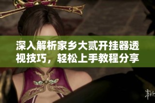 深入解析家乡大贰开挂器透视技巧，轻松上手教程分享