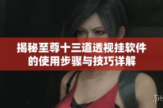 揭秘至尊十三道透视挂软件的使用步骤与技巧详解