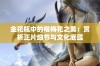 金花瓶中的楷梅花之美：赏析正片细节与文化底蕴