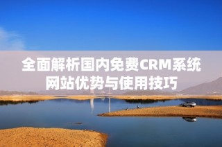 全面解析国内免费CRM系统网站优势与使用技巧