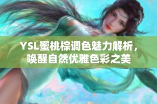 YSL蜜桃棕调色魅力解析，唤醒自然优雅色彩之美