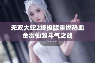 无双大蛇2终极版重燃热血金雷仙超斗气之战