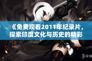 《免费观看2011年纪录片，探索印度文化与历史的精彩旅程》