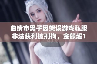 曲靖市男子因架设游戏私服非法获利被刑拘，金额超13万元