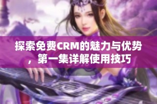 探索免费CRM的魅力与优势，第一集详解使用技巧