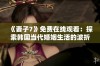 《妻子7》免费在线观看：探索韩国当代婚姻生活的波折与挑战