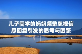 儿子同学的妈妈频繁忽视信息回复引发的思考与困惑