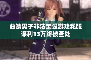 曲靖男子非法架设游戏私服谋利13万终被查处