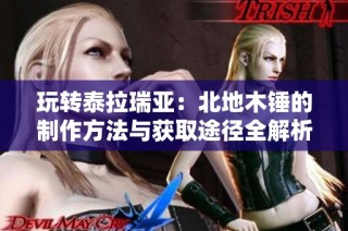 玩转泰拉瑞亚：北地木锤的制作方法与获取途径全解析