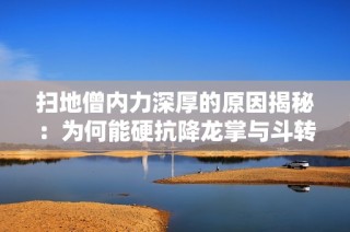 扫地僧内力深厚的原因揭秘：为何能硬抗降龙掌与斗转星移