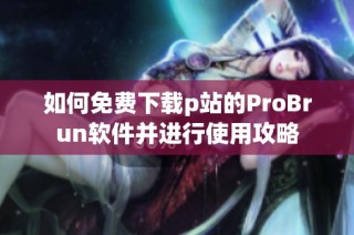 如何免费下载p站的ProBrun软件并进行使用攻略