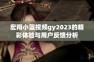 宏翔小蓝视频gy2023的精彩体验与用户反馈分析