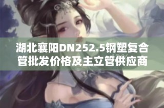 湖北襄阳DN252.5钢塑复合管批发价格及主立管供应商分析