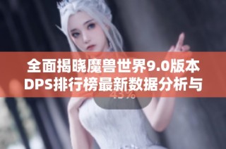 全面揭晓魔兽世界9.0版本DPS排行榜最新数据分析与解读