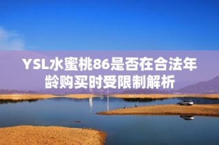 YSL水蜜桃86是否在合法年龄购买时受限制解析