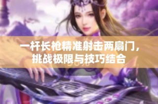 一杆长枪精准射击两扇门，挑战极限与技巧结合