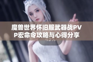魔兽世界怀旧服武器战PVP宏命令攻略与心得分享