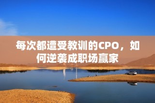 每次都遭受教训的CPO，如何逆袭成职场赢家