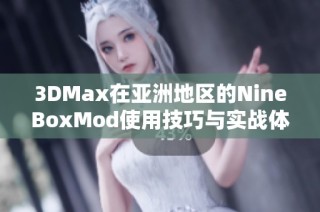 3DMax在亚洲地区的NineBoxMod使用技巧与实战体验分享