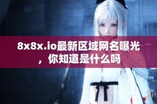 8x8x.io最新区域网名曝光，你知道是什么吗