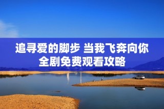 追寻爱的脚步 当我飞奔向你全剧免费观看攻略