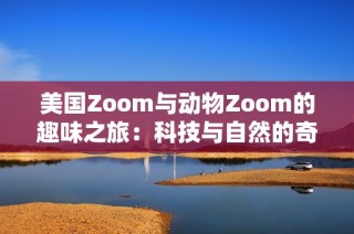 美国Zoom与动物Zoom的趣味之旅：科技与自然的奇妙碰撞