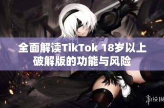 全面解读TikTok 18岁以上破解版的功能与风险