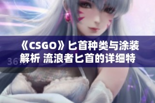 《CSGO》匕首种类与涂装解析 流浪者匕首的详细特点介绍