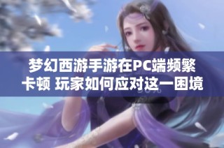 梦幻西游手游在PC端频繁卡顿 玩家如何应对这一困境和挑战