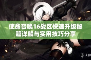 使命召唤16战区快速升级秘籍详解与实用技巧分享