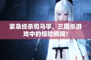 紧急绞杀司马孚，三国杀游戏中的惊险瞬间！