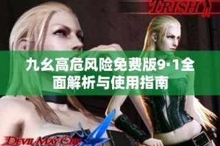 九幺高危风险免费版9·1全面解析与使用指南