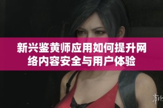 新兴鉴黄师应用如何提升网络内容安全与用户体验