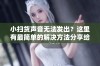 小扫货声音无法发出？这里有最简单的解决方法分享给你