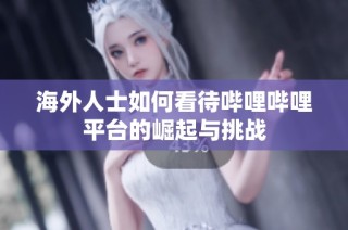 海外人士如何看待哔哩哔哩平台的崛起与挑战