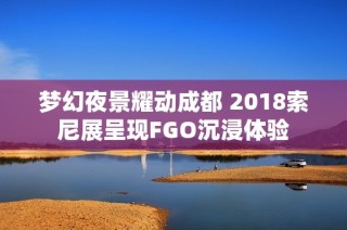 梦幻夜景耀动成都 2018索尼展呈现FGO沉浸体验