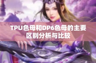 TPU色母和DP6色母的主要区别分析与比较