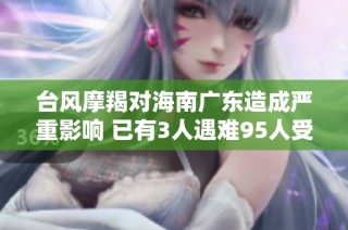 台风摩羯对海南广东造成严重影响 已有3人遇难95人受伤