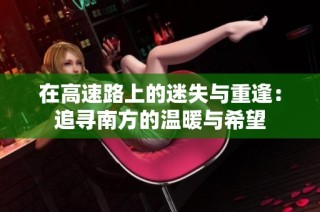 在高速路上的迷失与重逢：追寻南方的温暖与希望