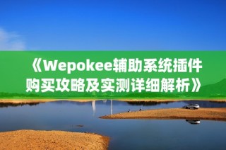 《Wepokee辅助系统插件购买攻略及实测详细解析》