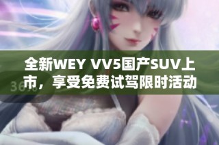 全新WEY VV5国产SUV上市，享受免费试驾限时活动