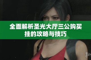 全面解析圣光大厅三公购买挂的攻略与技巧