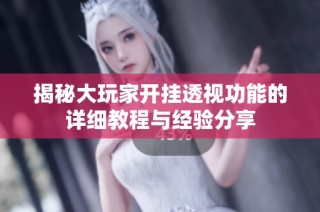 揭秘大玩家开挂透视功能的详细教程与经验分享