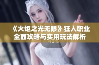 《火炬之光无限》狂人职业全面攻略与实用玩法解析