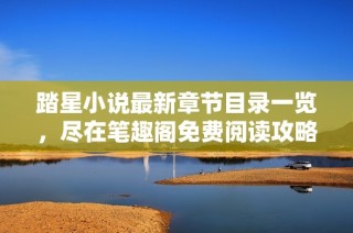 踏星小说最新章节目录一览，尽在笔趣阁免费阅读攻略